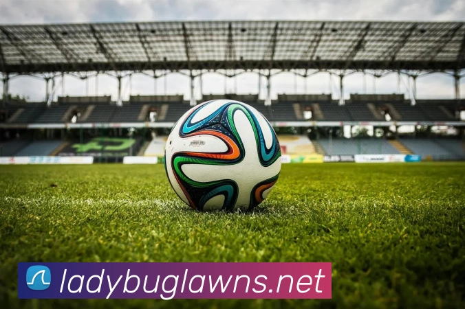 澳门威尼斯人网站品牌故事