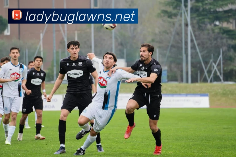 澳门威尼斯人网站服务体系