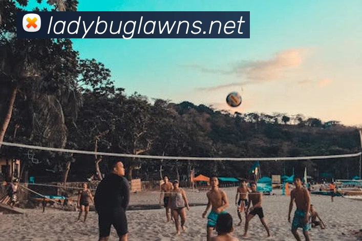 多媒体互动体验